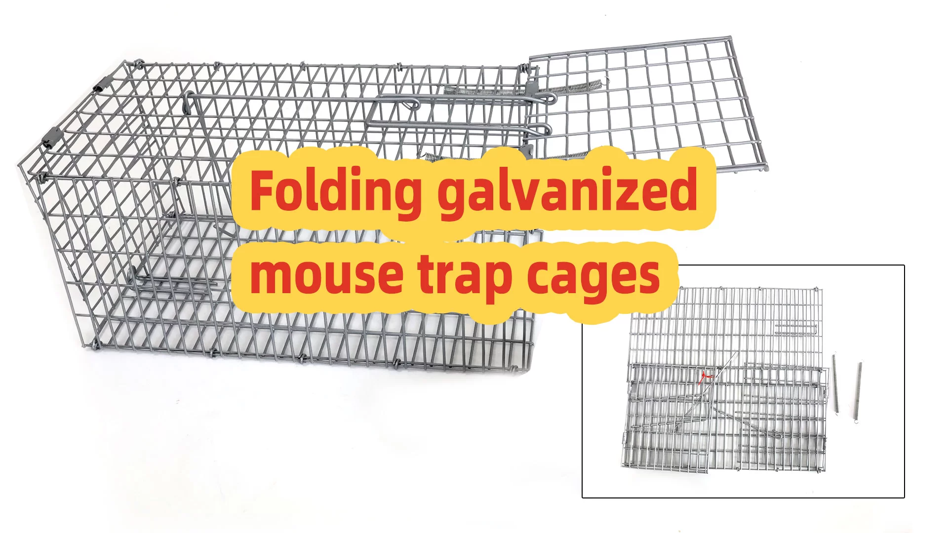 Guía de configuración de trampa de ratón galvanizada plegable: Tutorial de jaula duradera y reutilizable