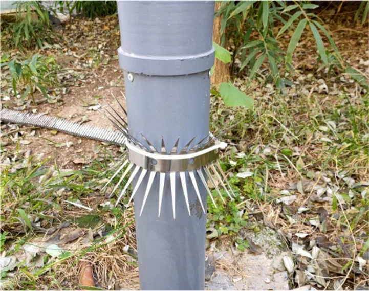 Spikes anti-ratón: barreras físicas para la prevención ecológica
